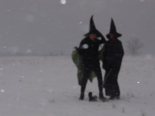 fastwurms, video still (2003)