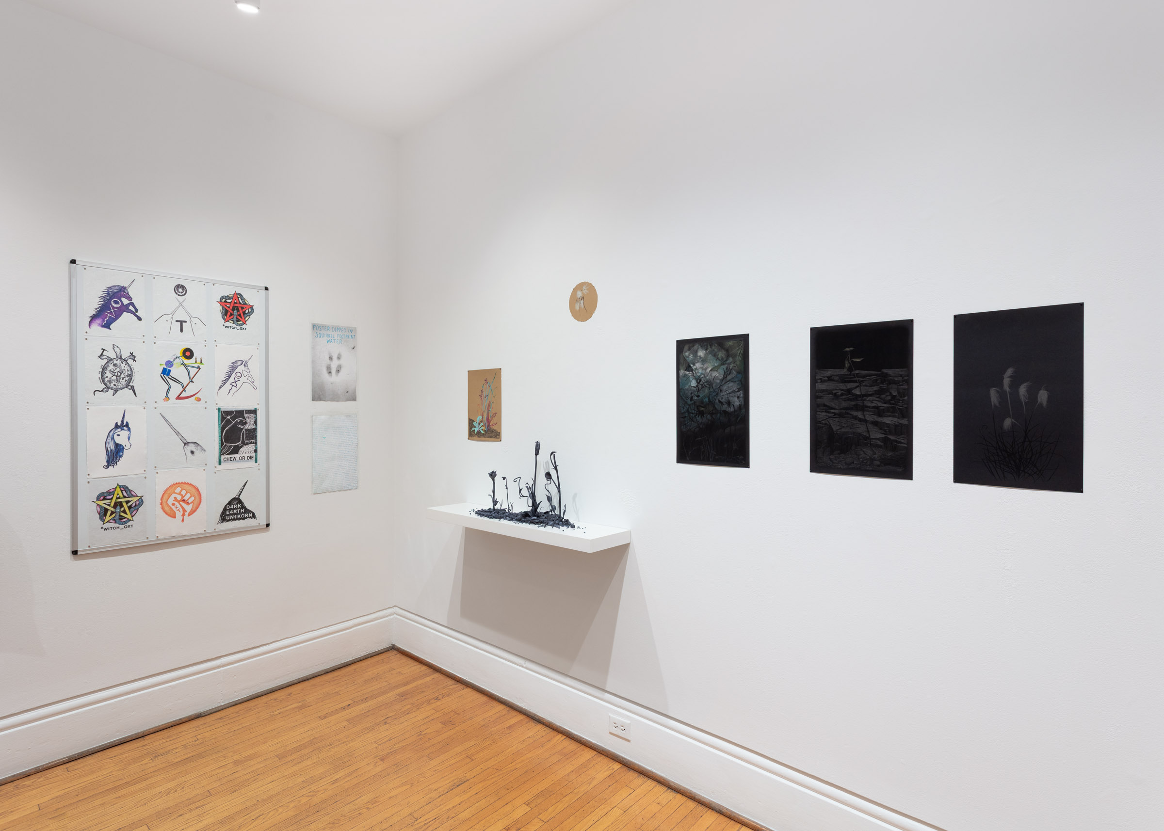 installation view