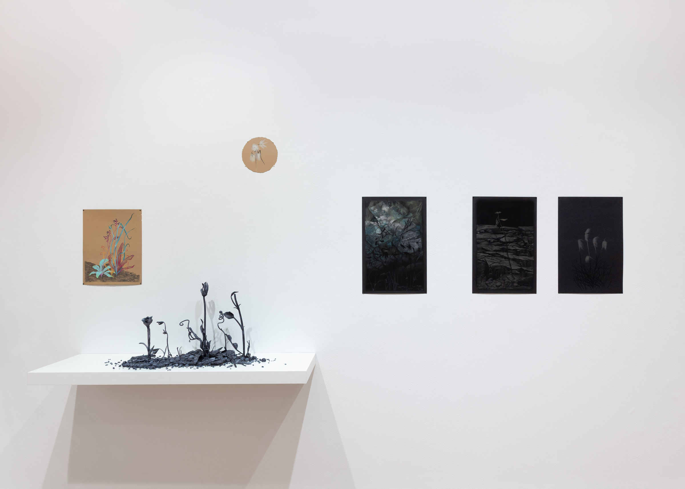 installation view