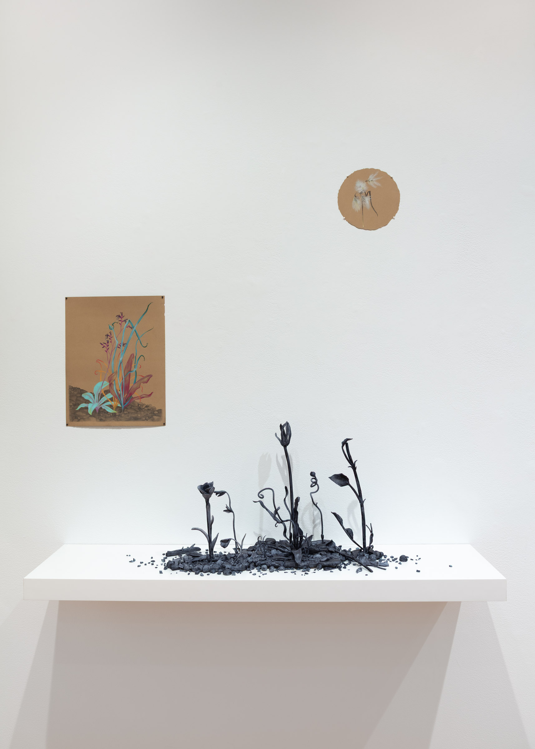 installation view