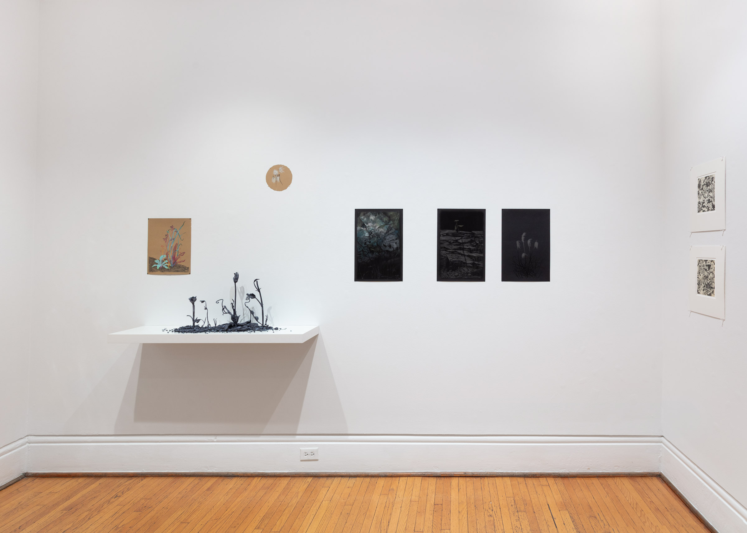 installation view