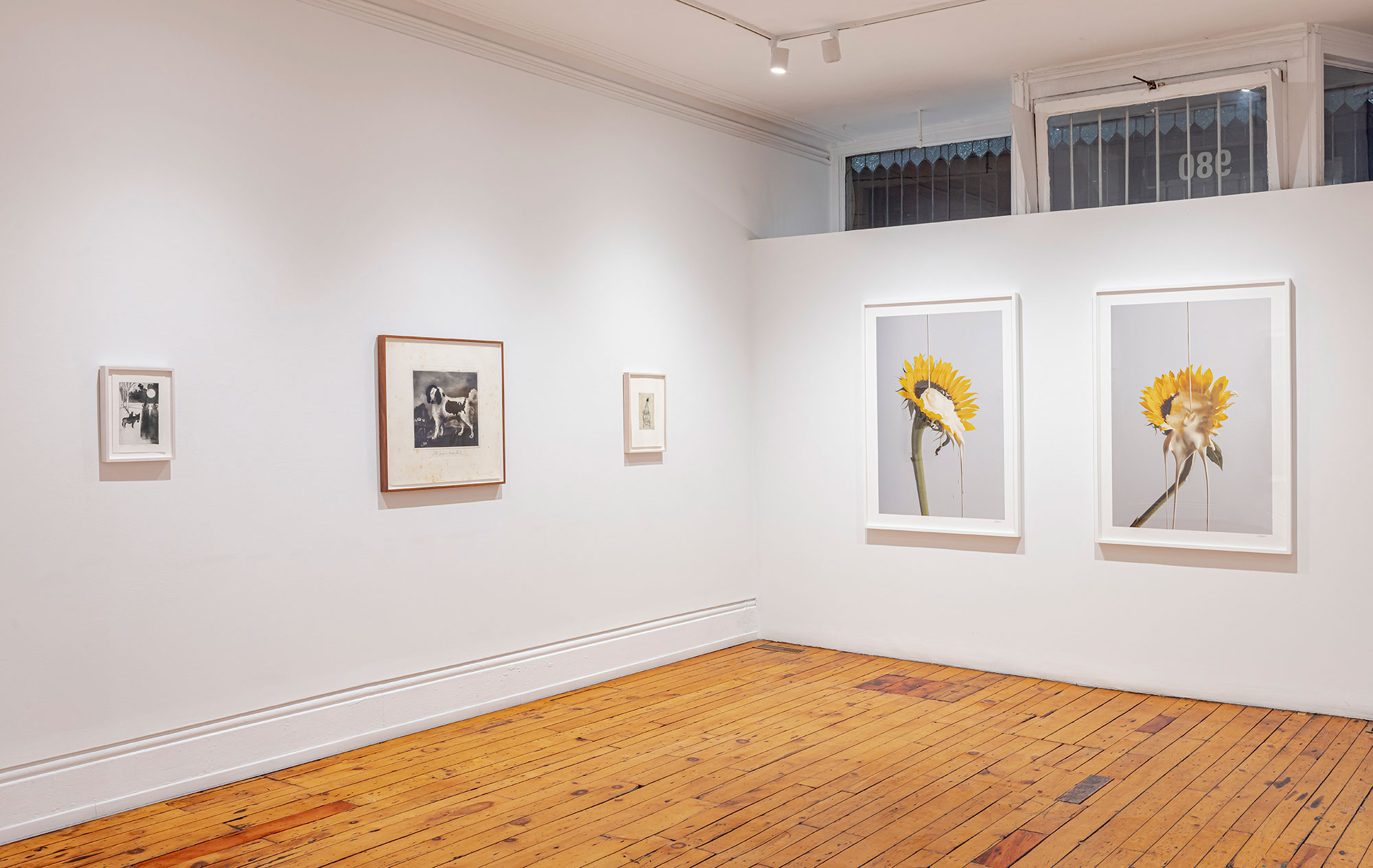 installation view