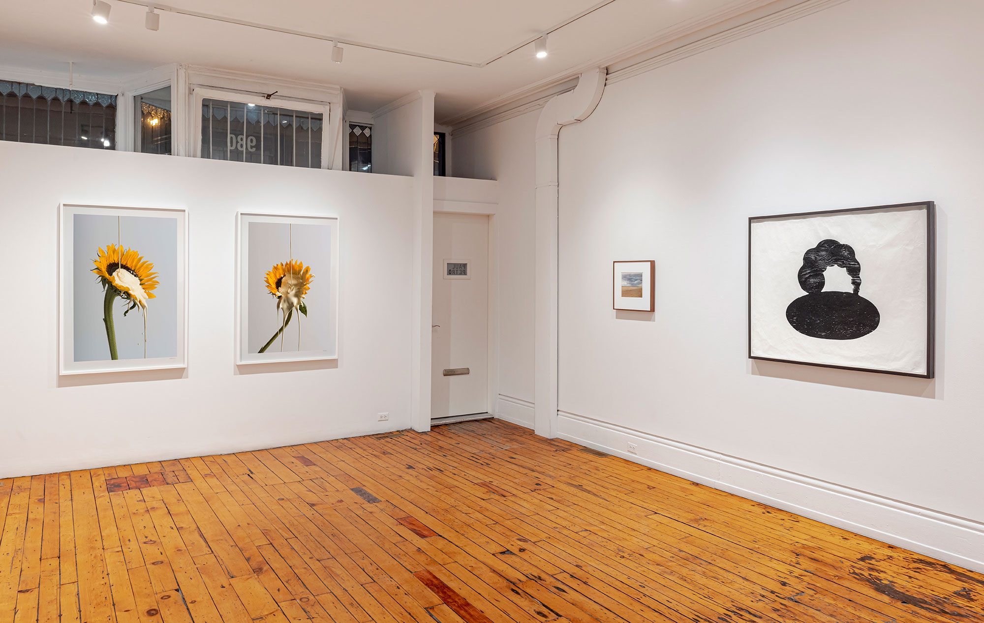 installation view