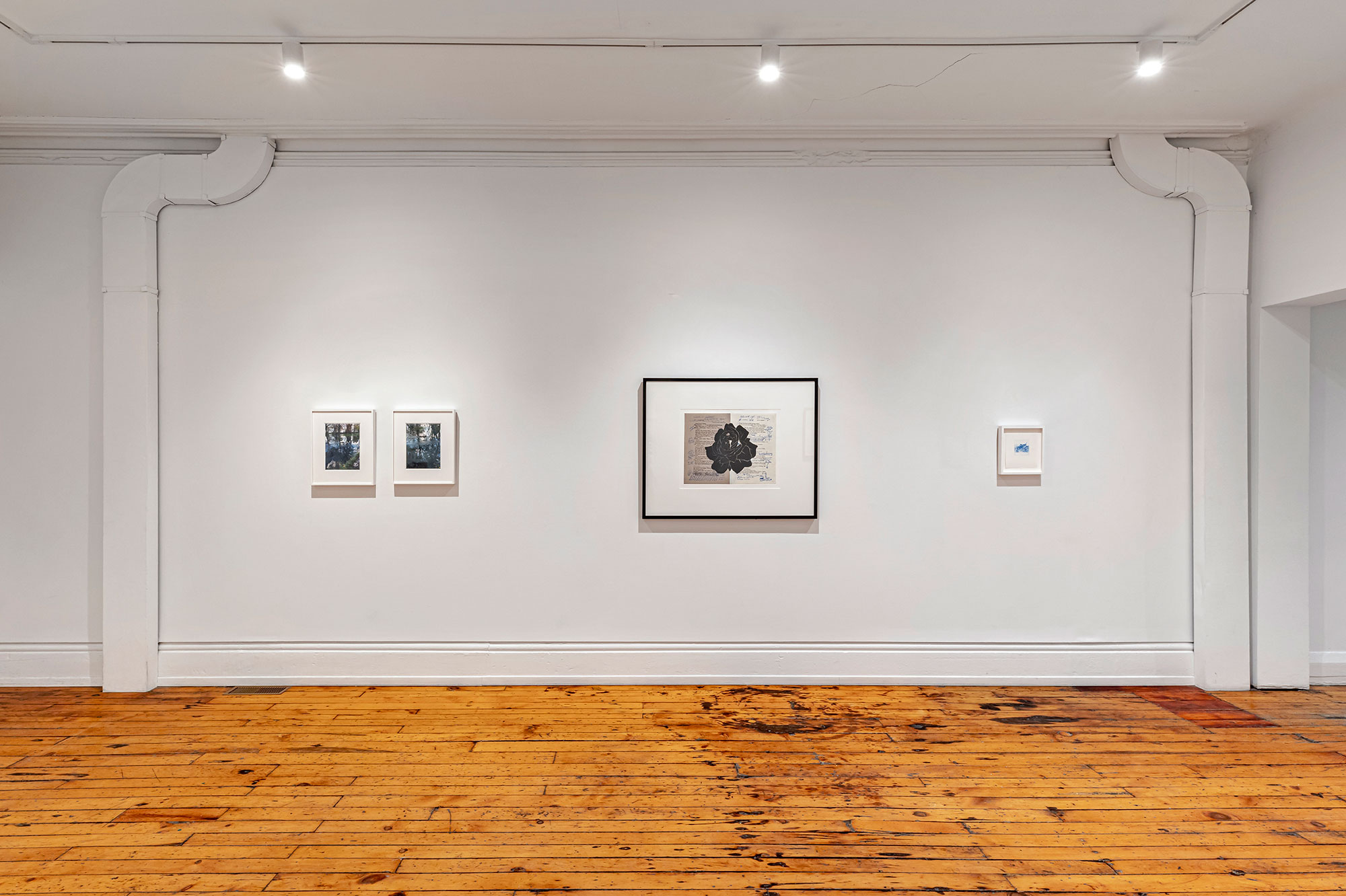 installation view