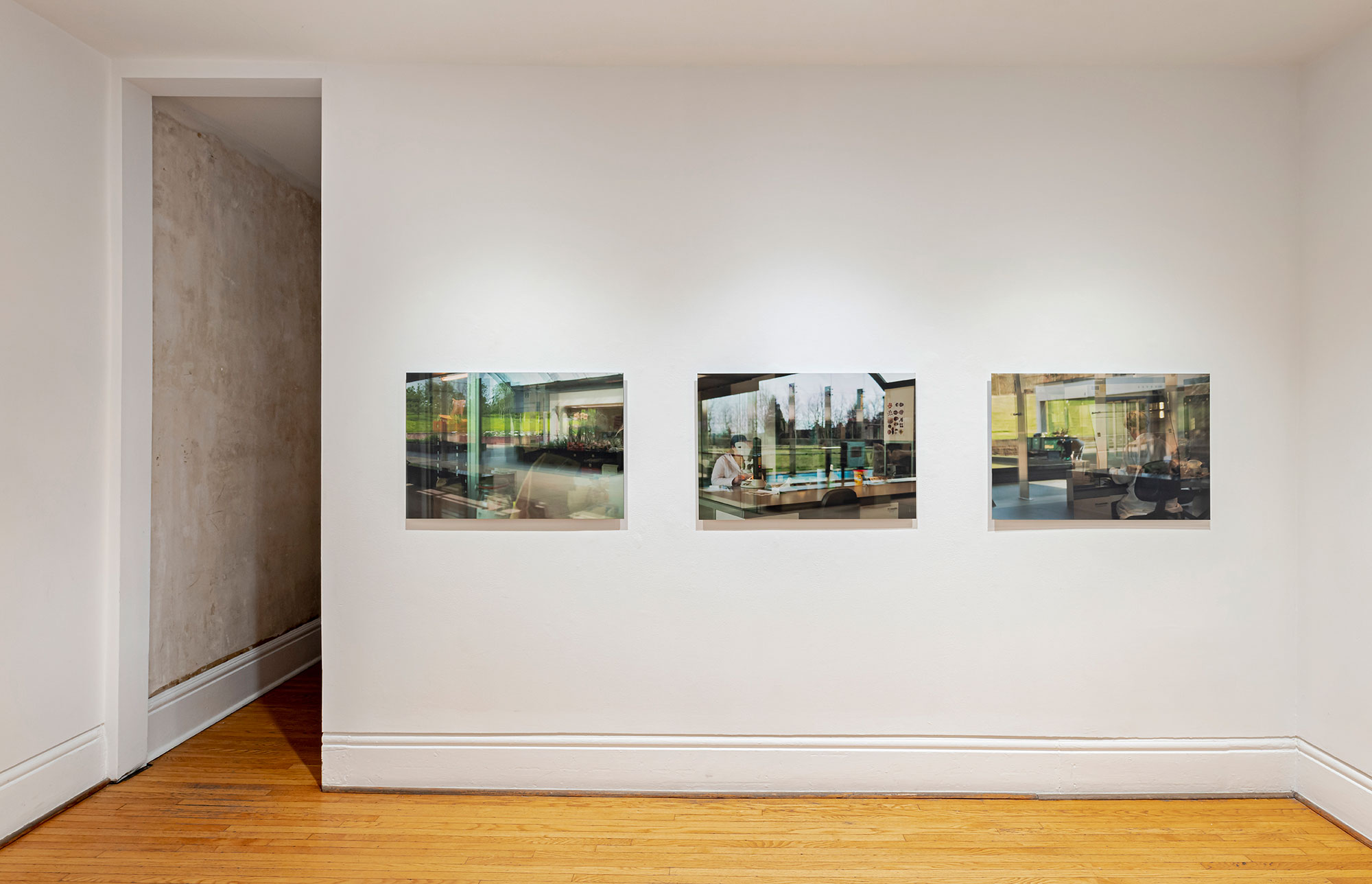 installation view