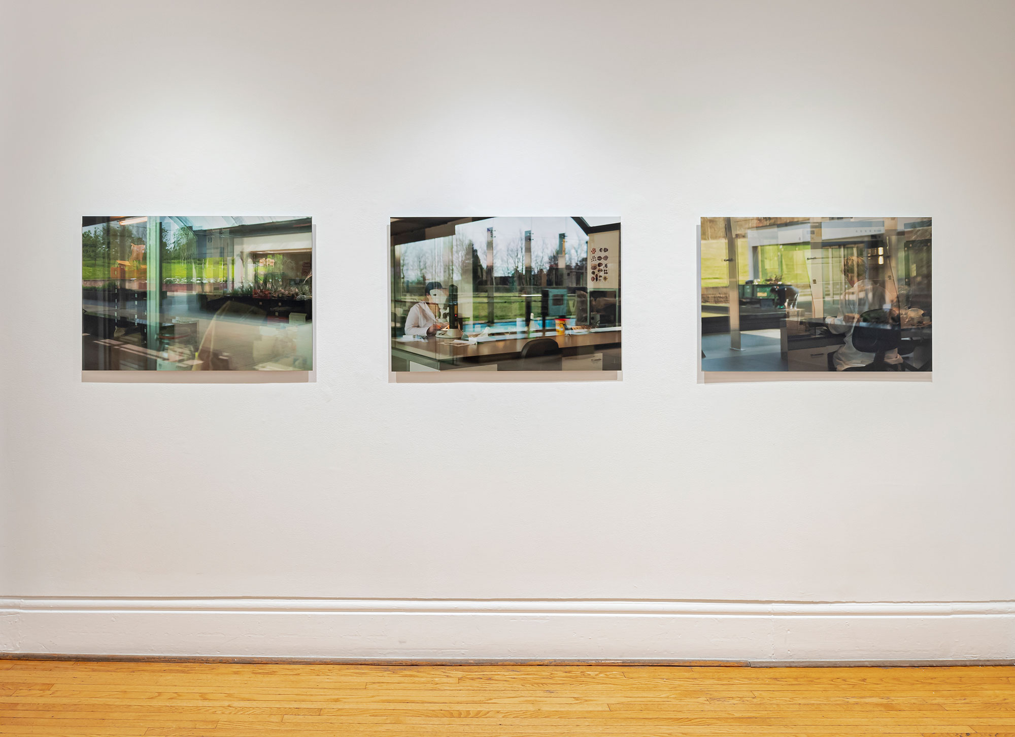 installation view