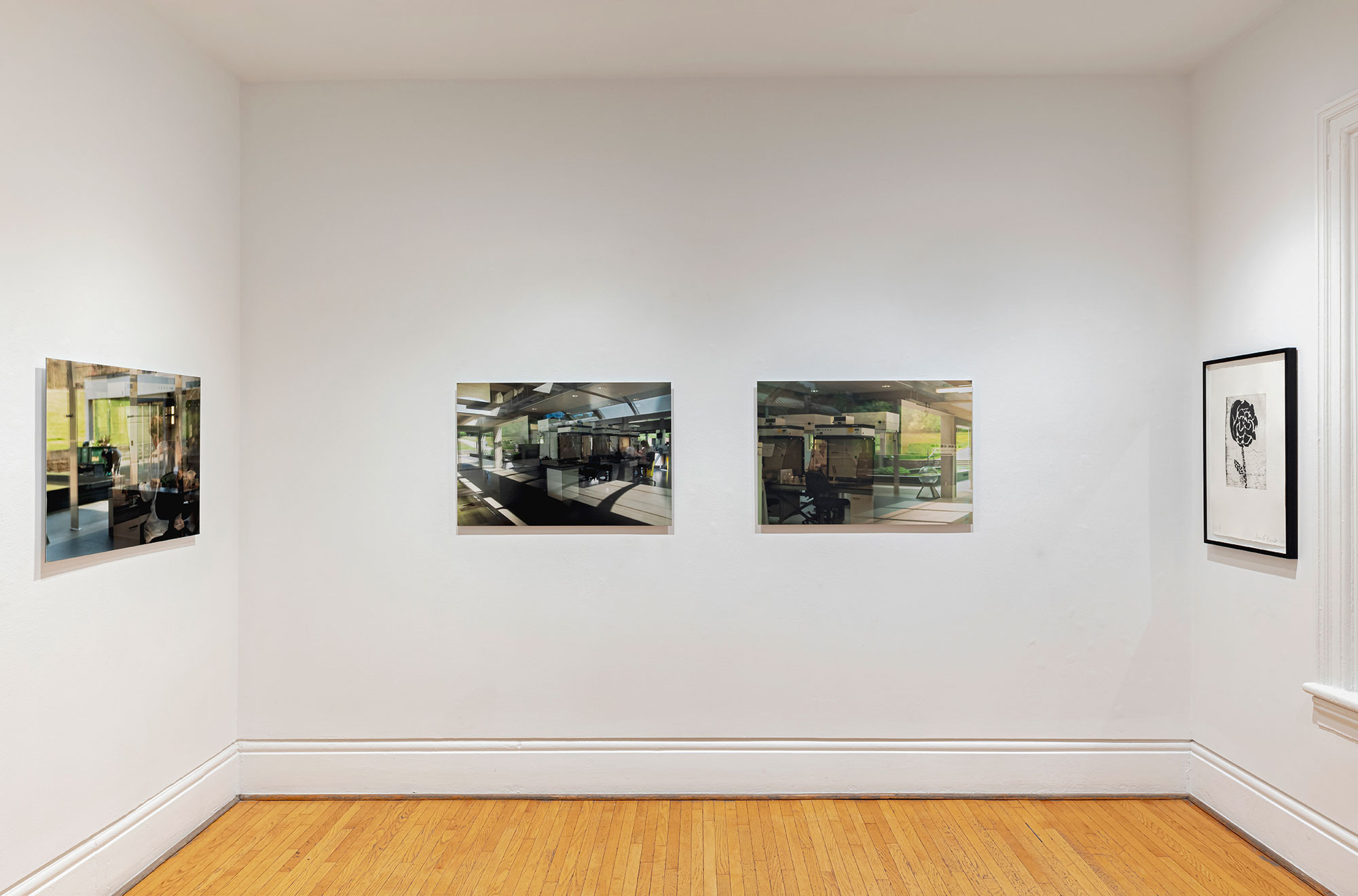 installation view