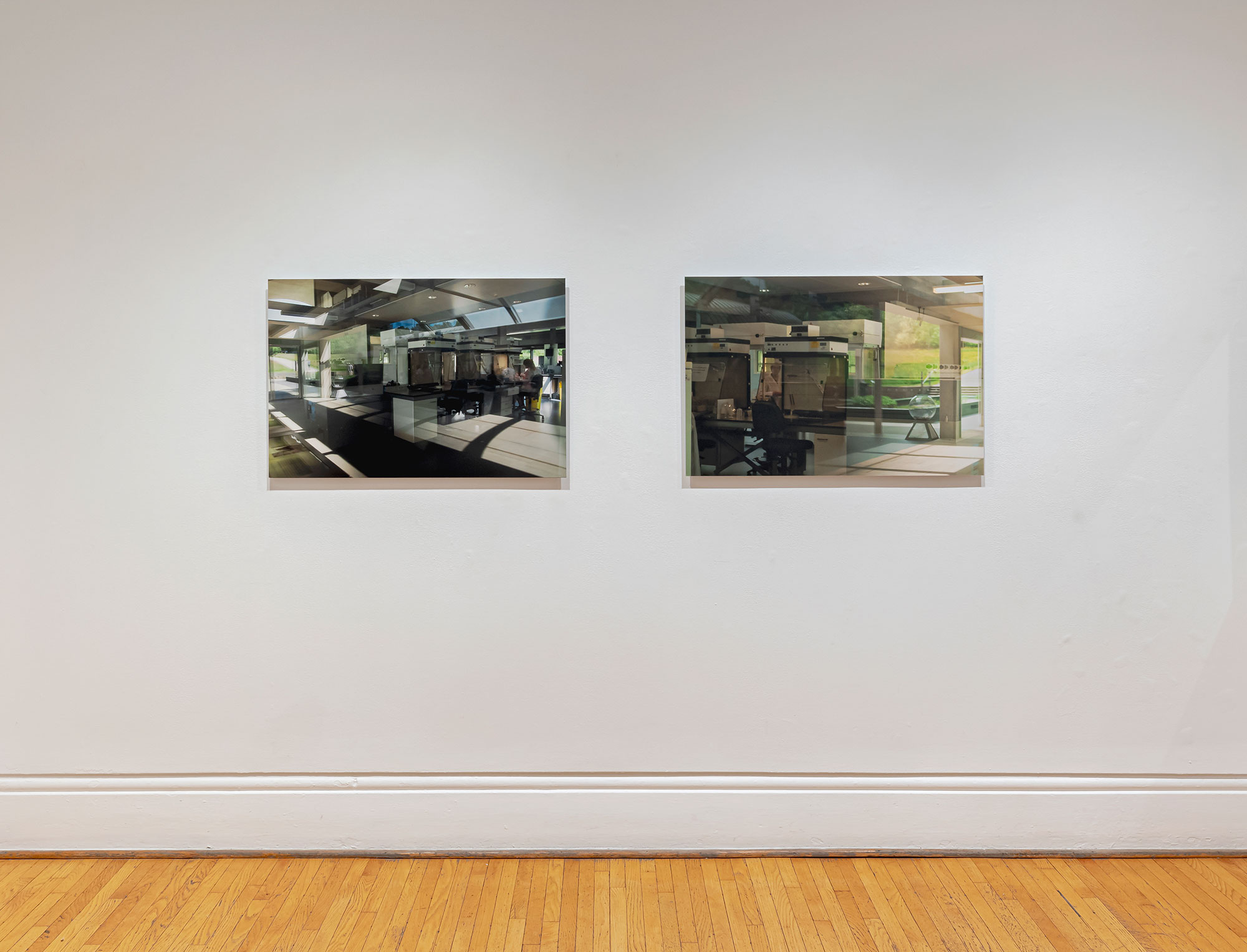 installation view