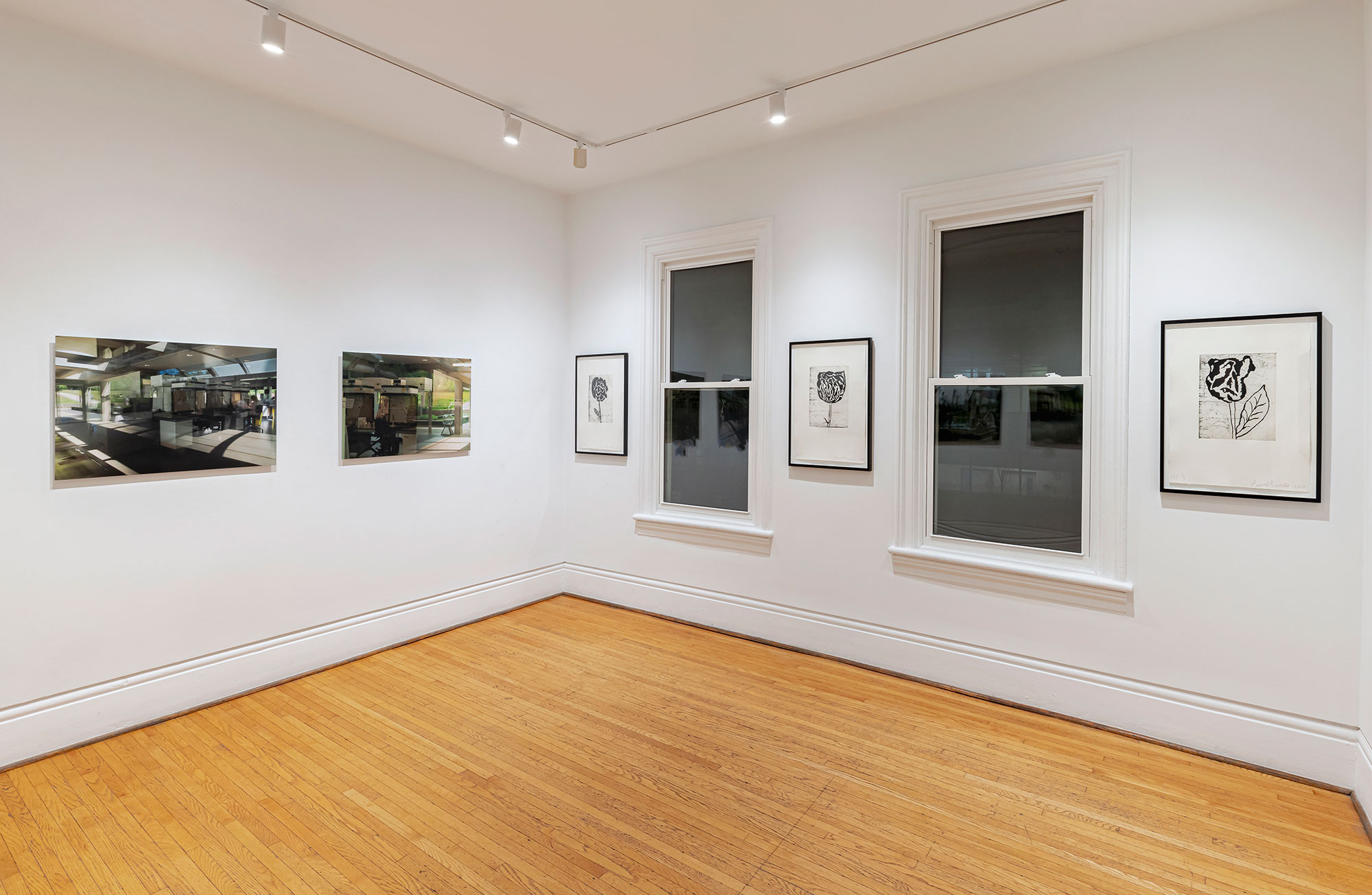 installation view