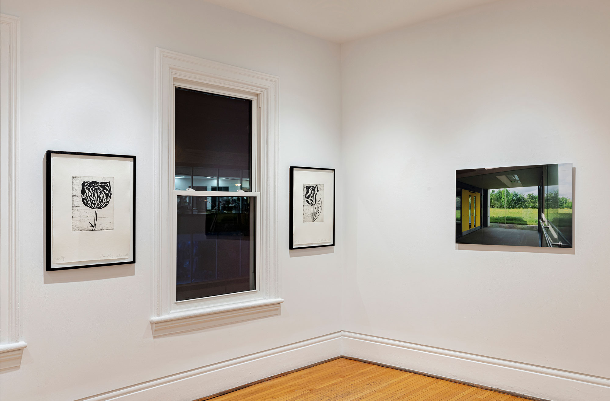 installation view