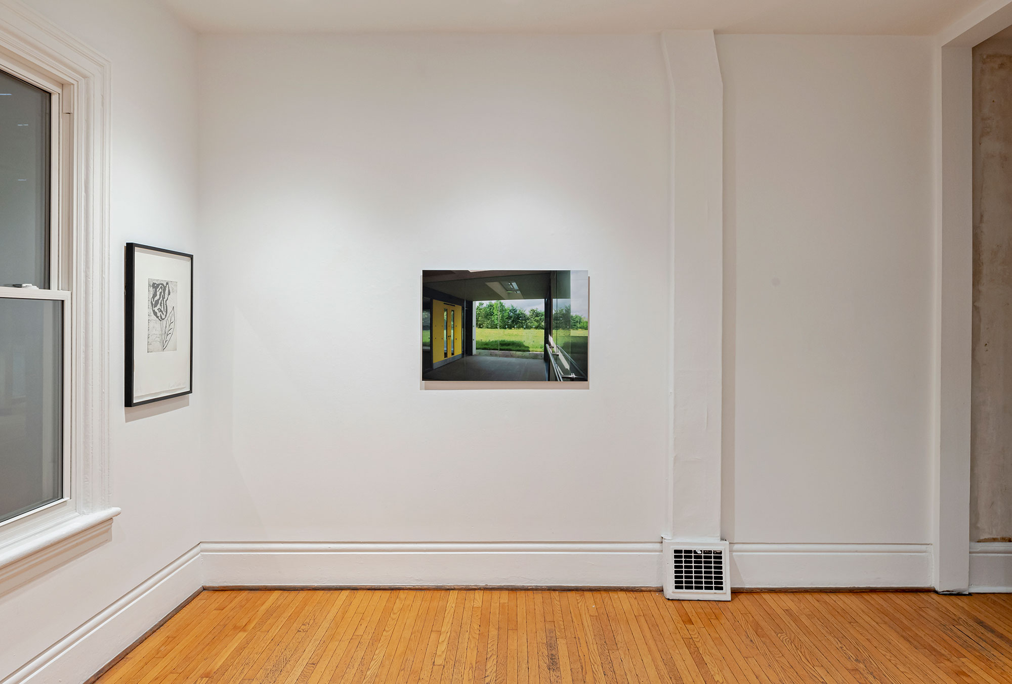 installation view