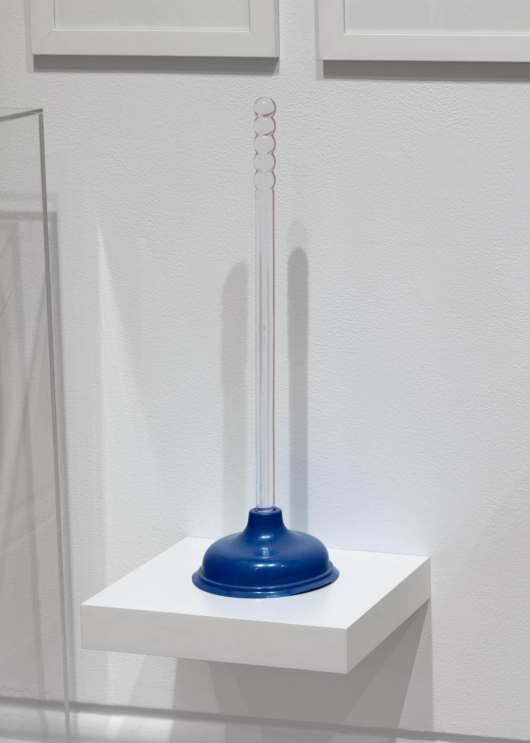 Plunger