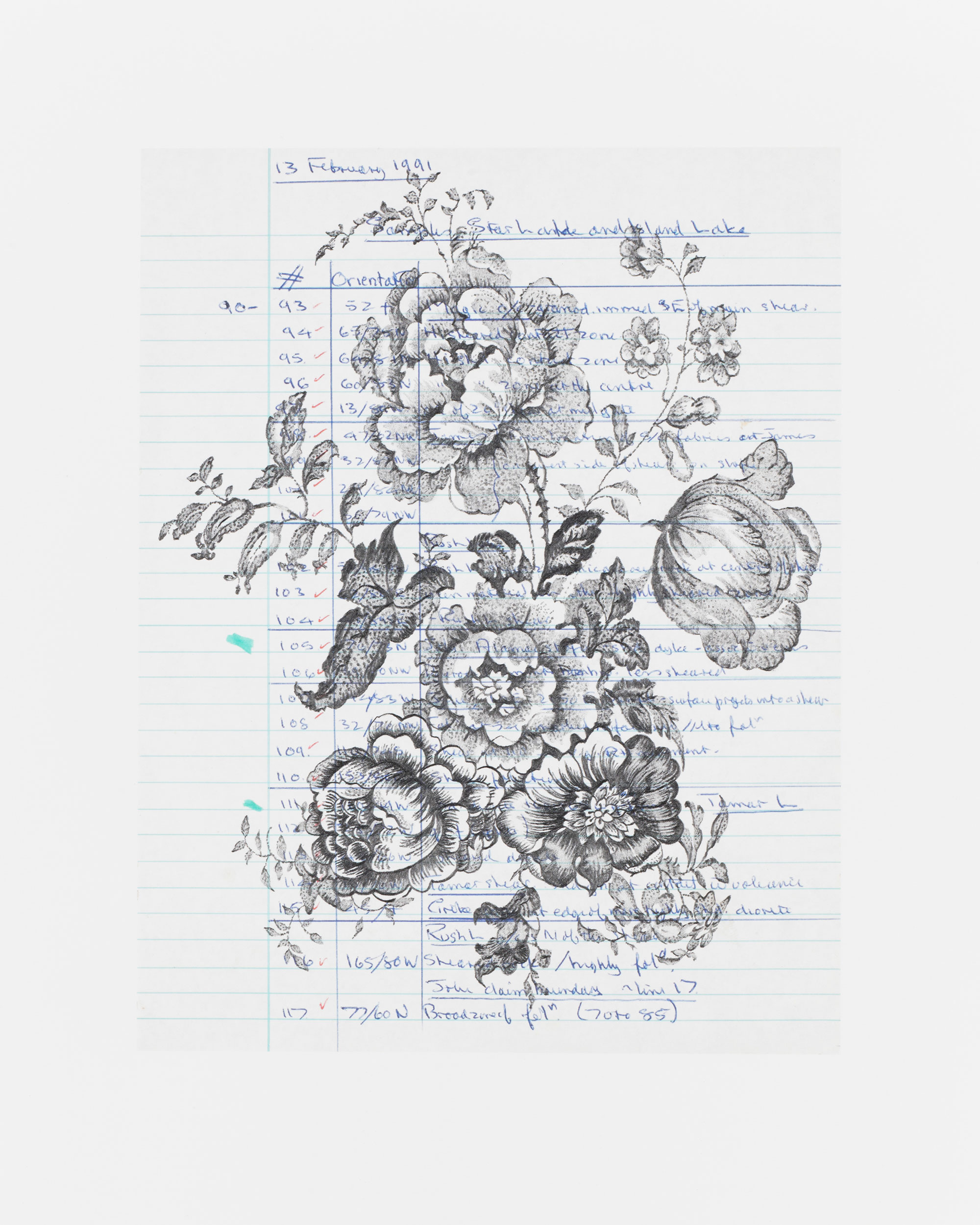 Foliation b (ix)