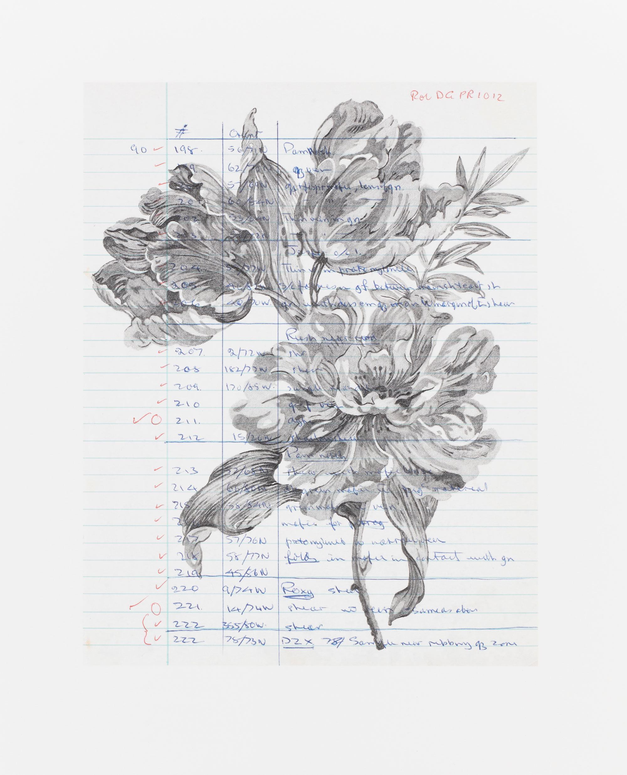 Foliation b (v)