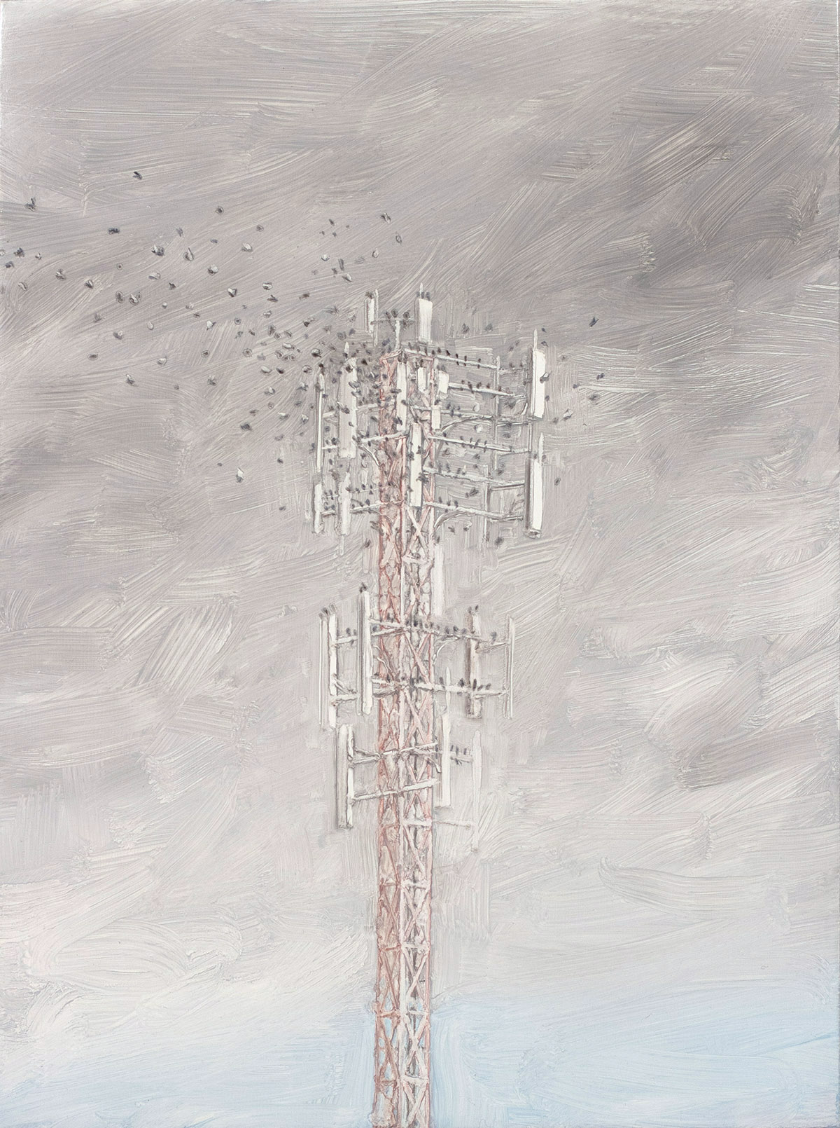Murmuration and Cell Tower