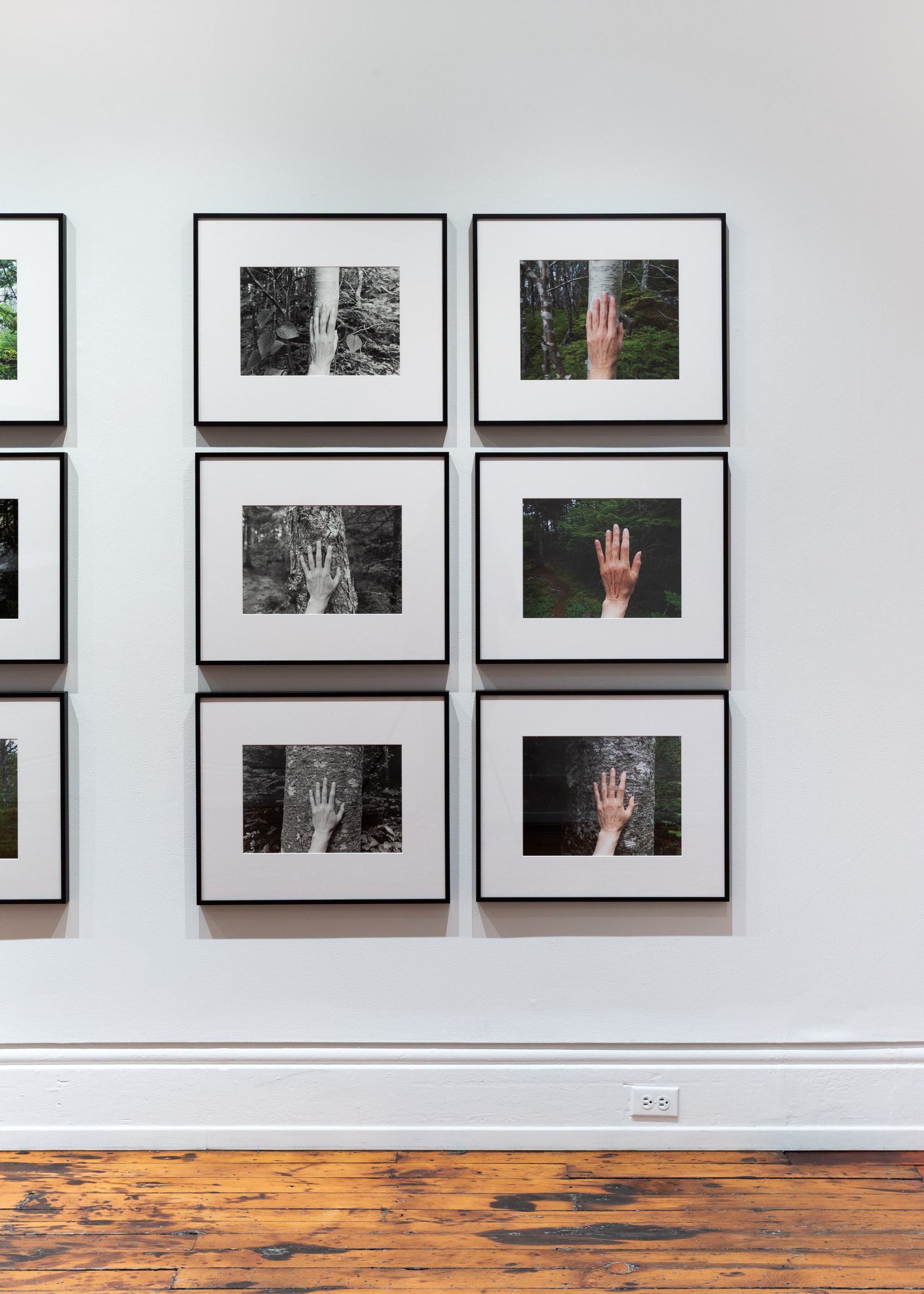Larch, Spruce, Fir, Birch, Hand, Blast Hole Pond Road, Newfoundland 2007–2026.