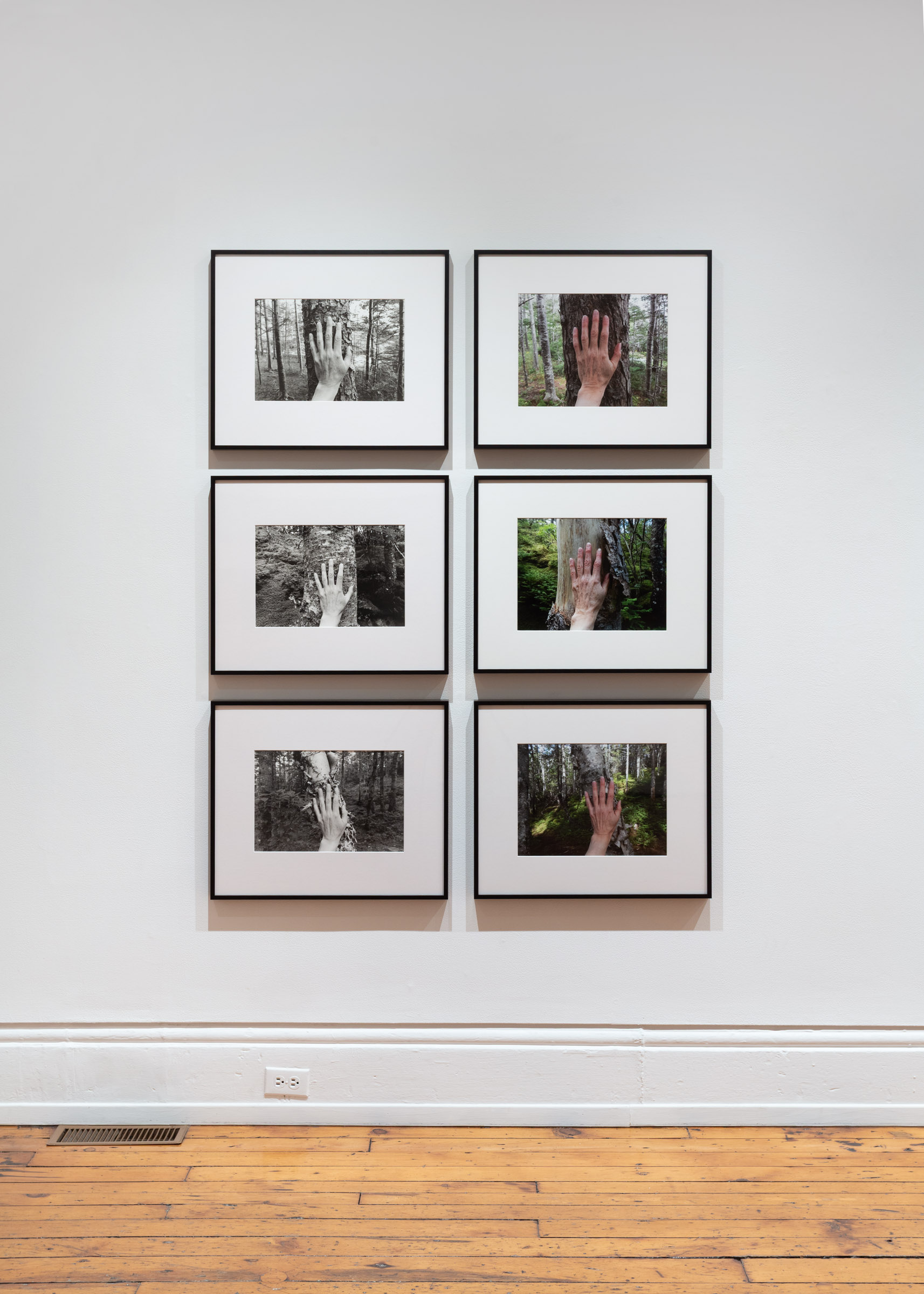 from Larch, Spruce, Fir, Birch, Hand, Blast Hole Pond Road, Newfoundland 2007–2026