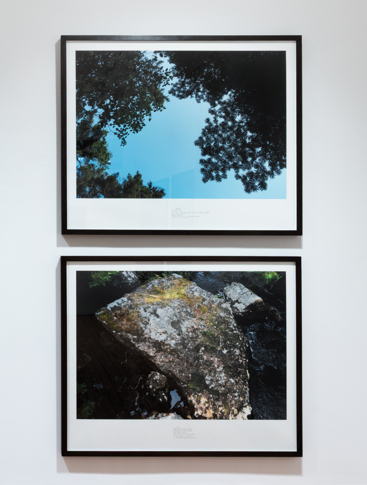excerpt from On the Large Boulder in the Blast Hole Pond River, Summer 2020  from the series Between the Earth and the Firmament, Blast Hole Pond Road, Newfoundland 2020