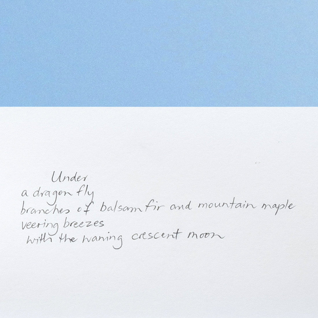excerpt from On the Large Boulder in the Blast Hole Pond River, Summer 2020  from the series Between the Earth and the Firmament, Blast Hole Pond Road, Newfoundland 2020 (detail)