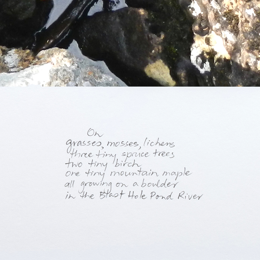excerpt from On the Large Boulder in the Blast Hole Pond River, Summer 2020  from the series Between the Earth and the Firmament, Blast Hole Pond Road, Newfoundland 2020 (detail)