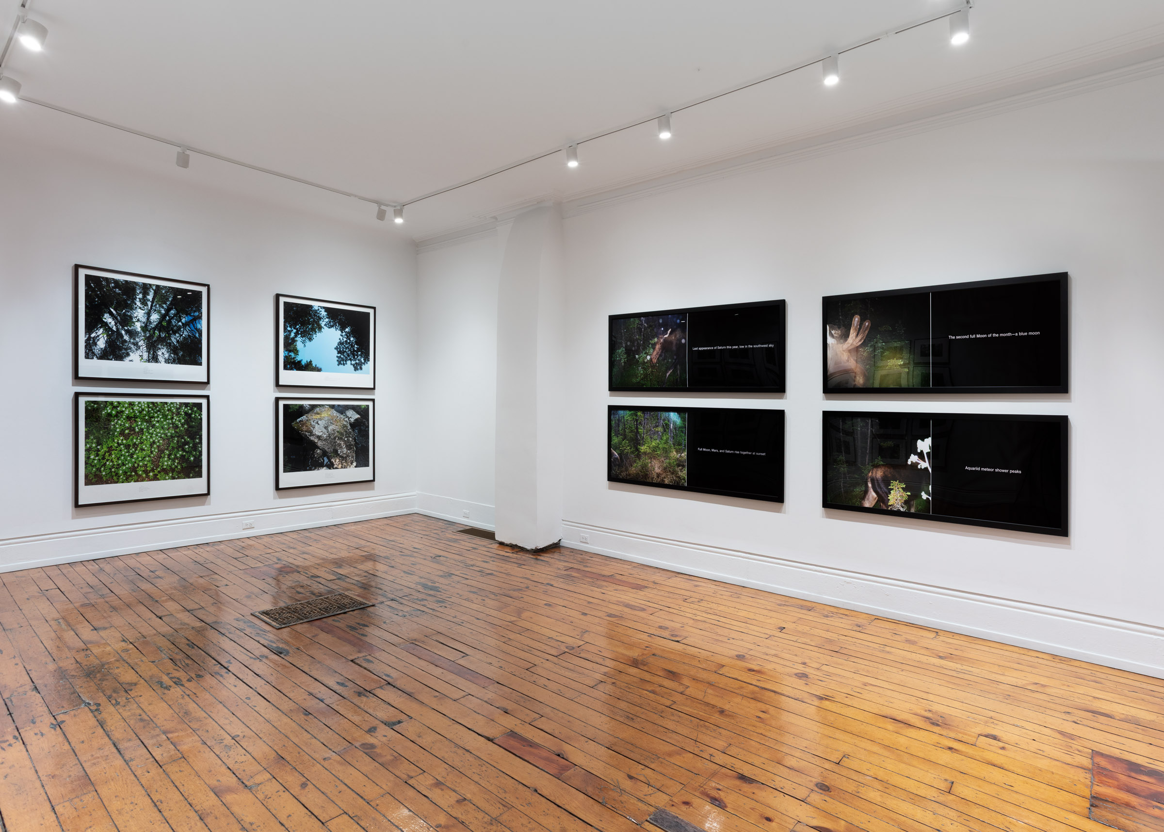 Selected Works from 24 Years in a Patch of Old-Growth Boreal Forest on Blast Hole Pond Road, Newfoundland 2002–2026