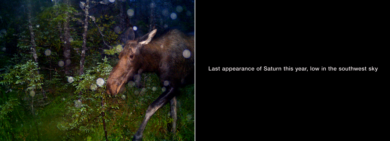 September 15, 2015 from the series What Came to Light at Blast Hole Pond River, Newfoundland 2015–ongoing