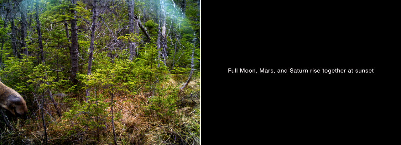 May 21, 2016 from the series What Came to Light at Blast Hole Pond River, Newfoundland 2015–ongoing