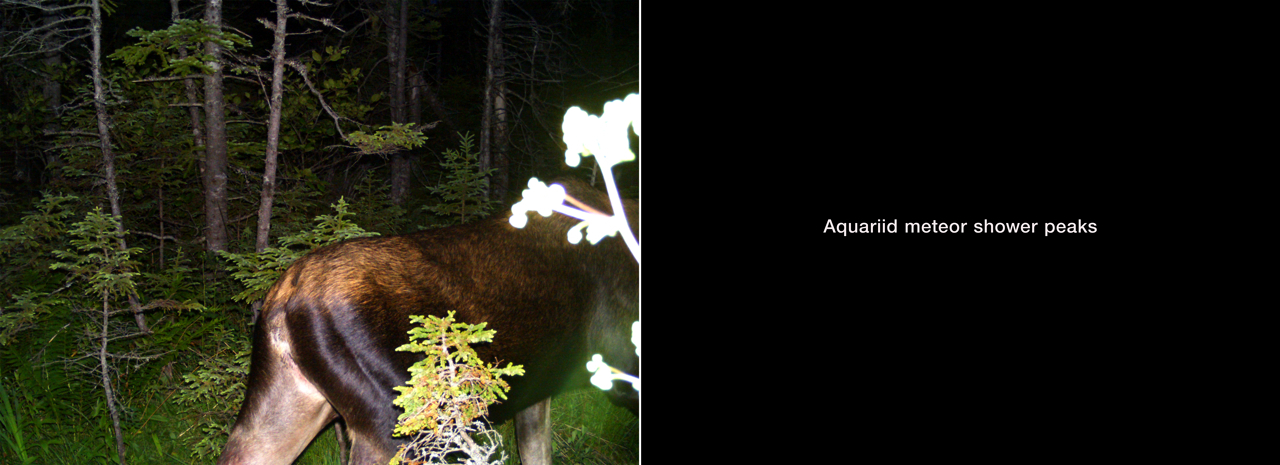July 29, 2015 from the series What Came to Light at Blast Hole Pond River, Newfoundland 2015–ongoing