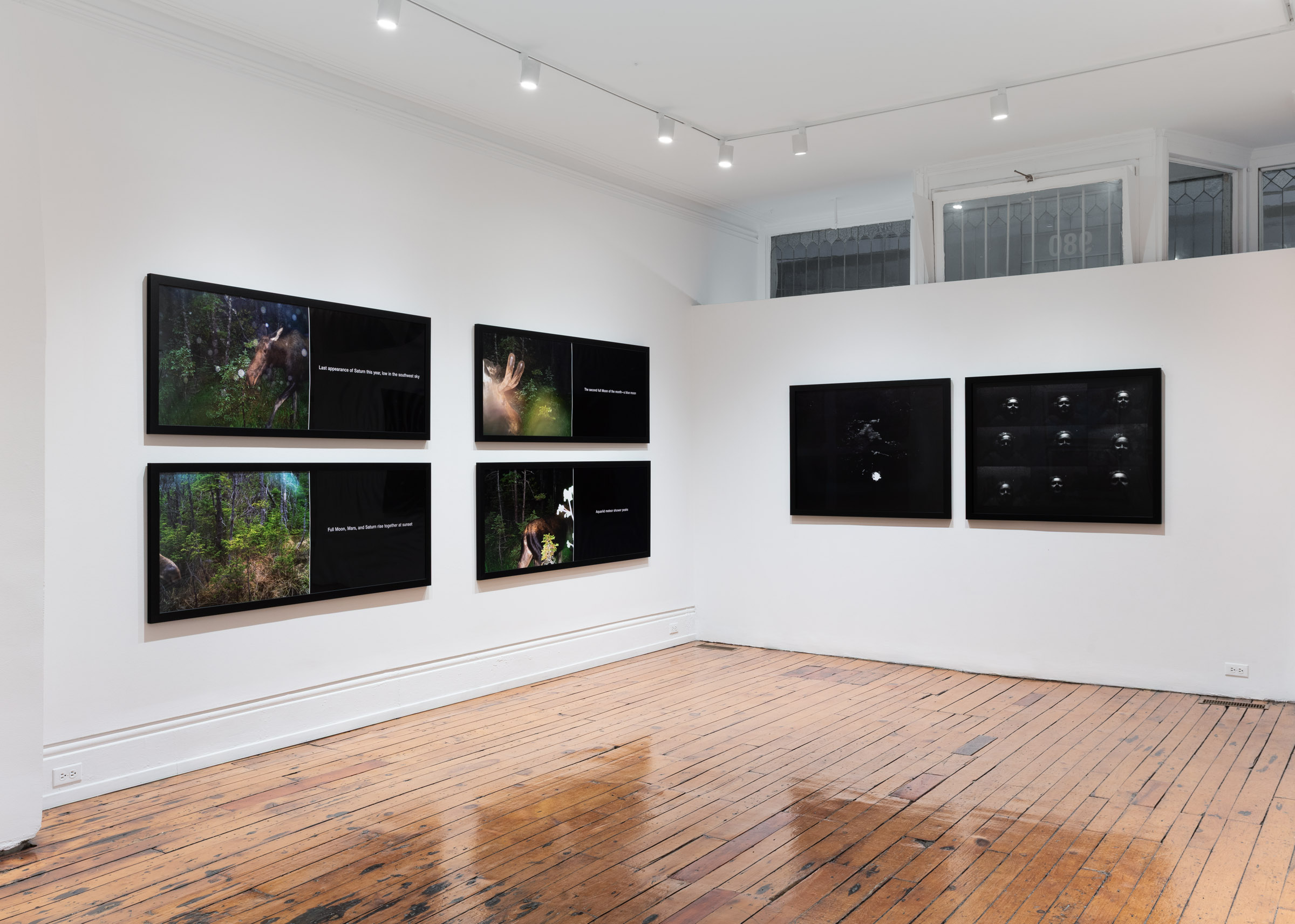 Selected Works from 24 Years in a Patch of Old-Growth Boreal Forest on Blast Hole Pond Road, Newfoundland 2002–2026