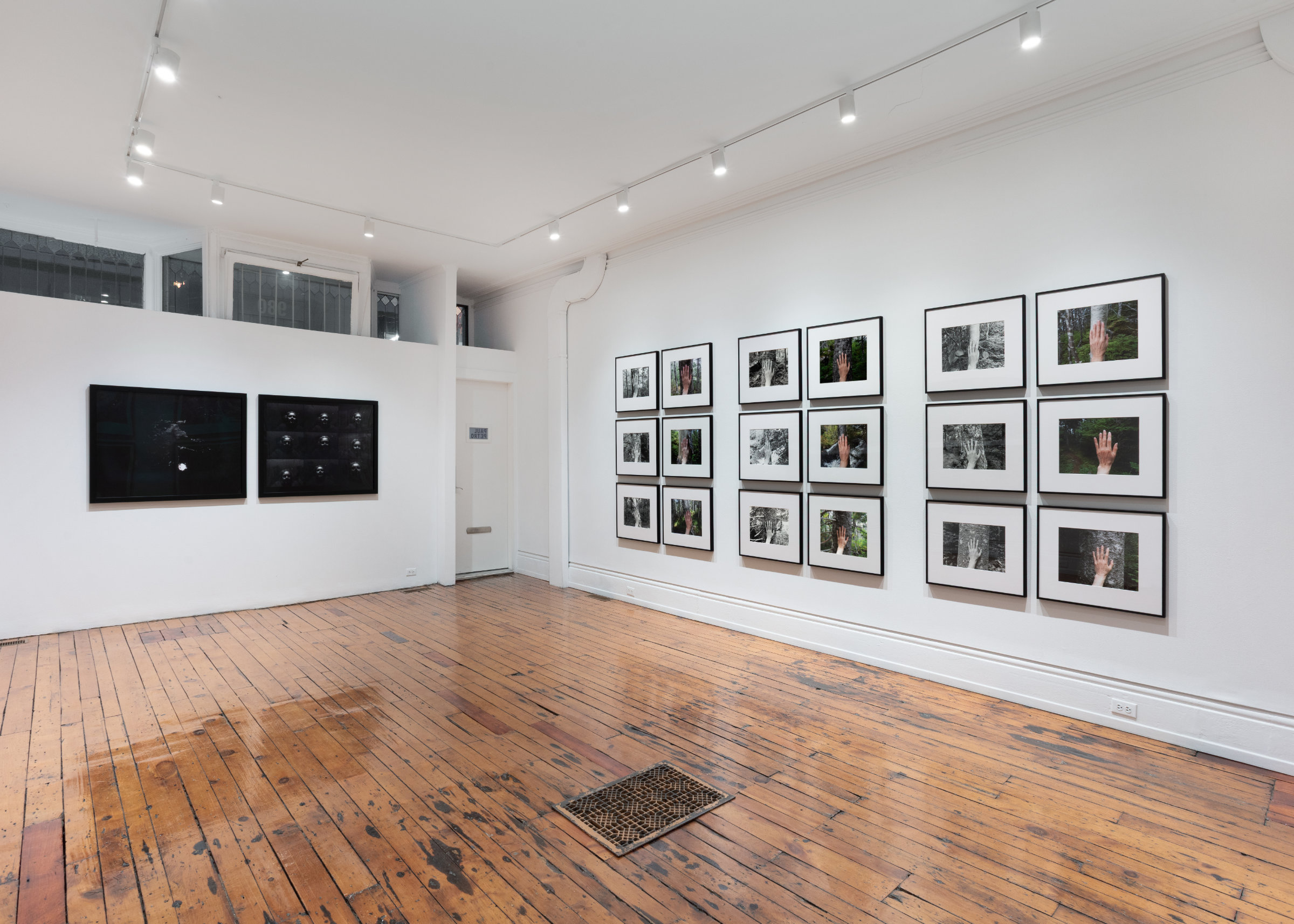 Selected Works from 24 Years in a Patch of Old-Growth Boreal Forest on Blast Hole Pond Road, Newfoundland 2002–2026