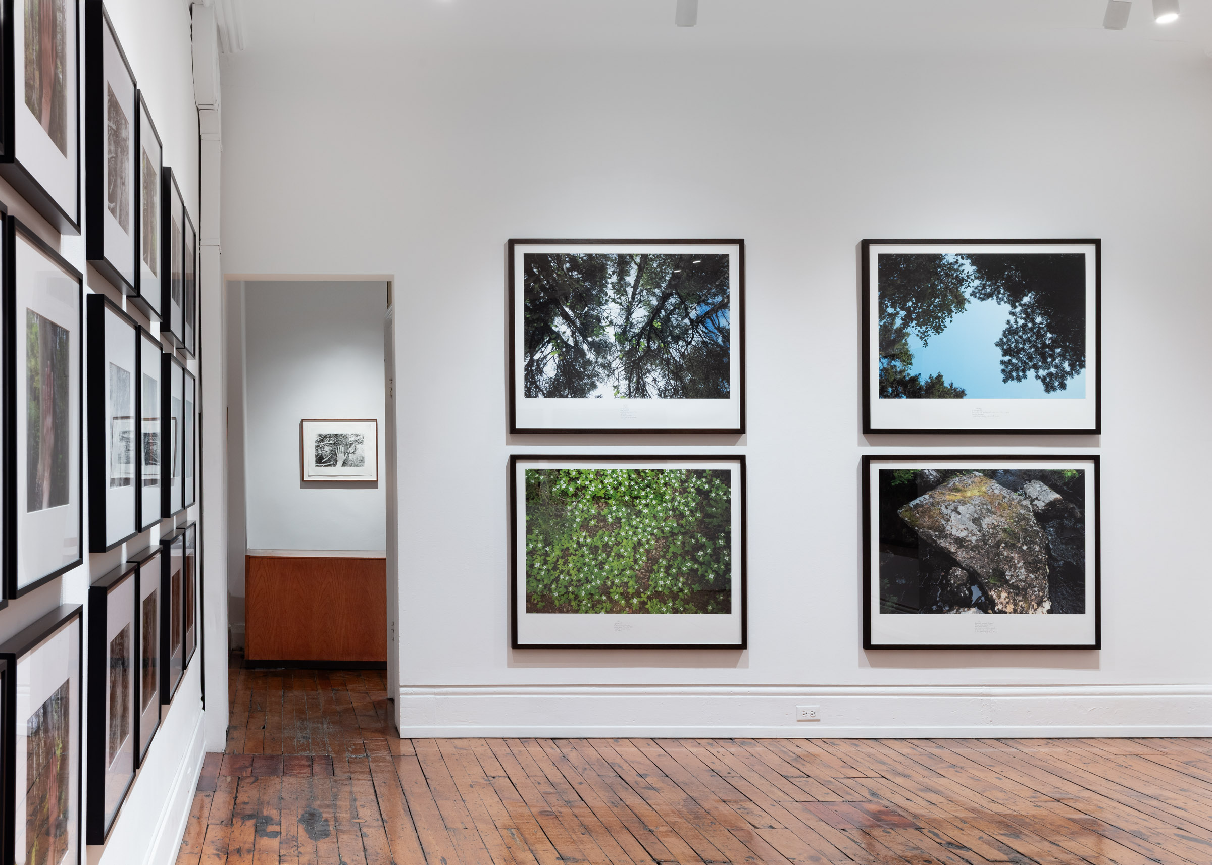 Selected Works from 24 Years in a Patch of Old-Growth Boreal Forest on Blast Hole Pond Road, Newfoundland 2002–2026