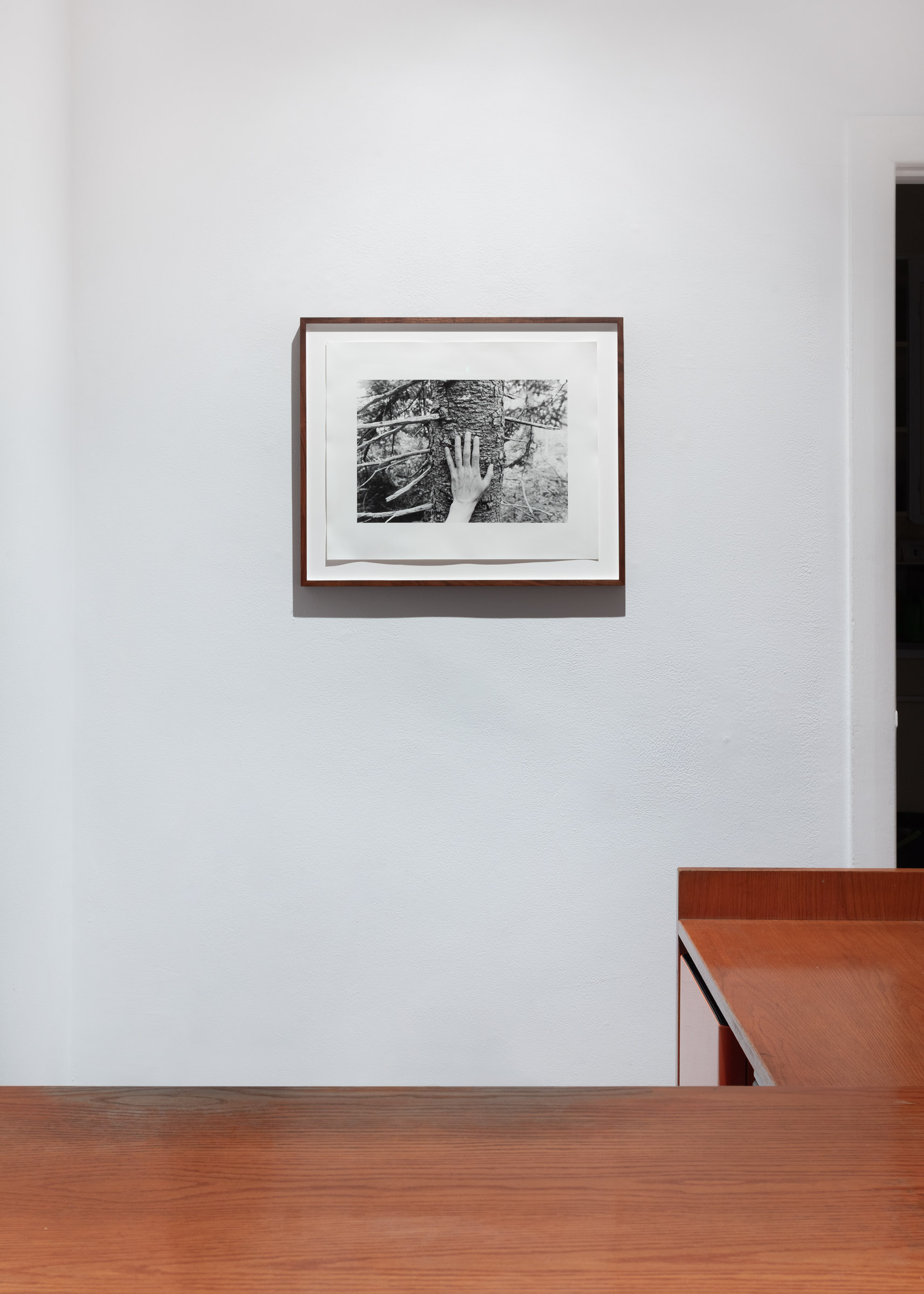 Selected Works from 24 Years in a Patch of Old-Growth Boreal Forest on Blast Hole Pond Road, Newfoundland 2002–2026