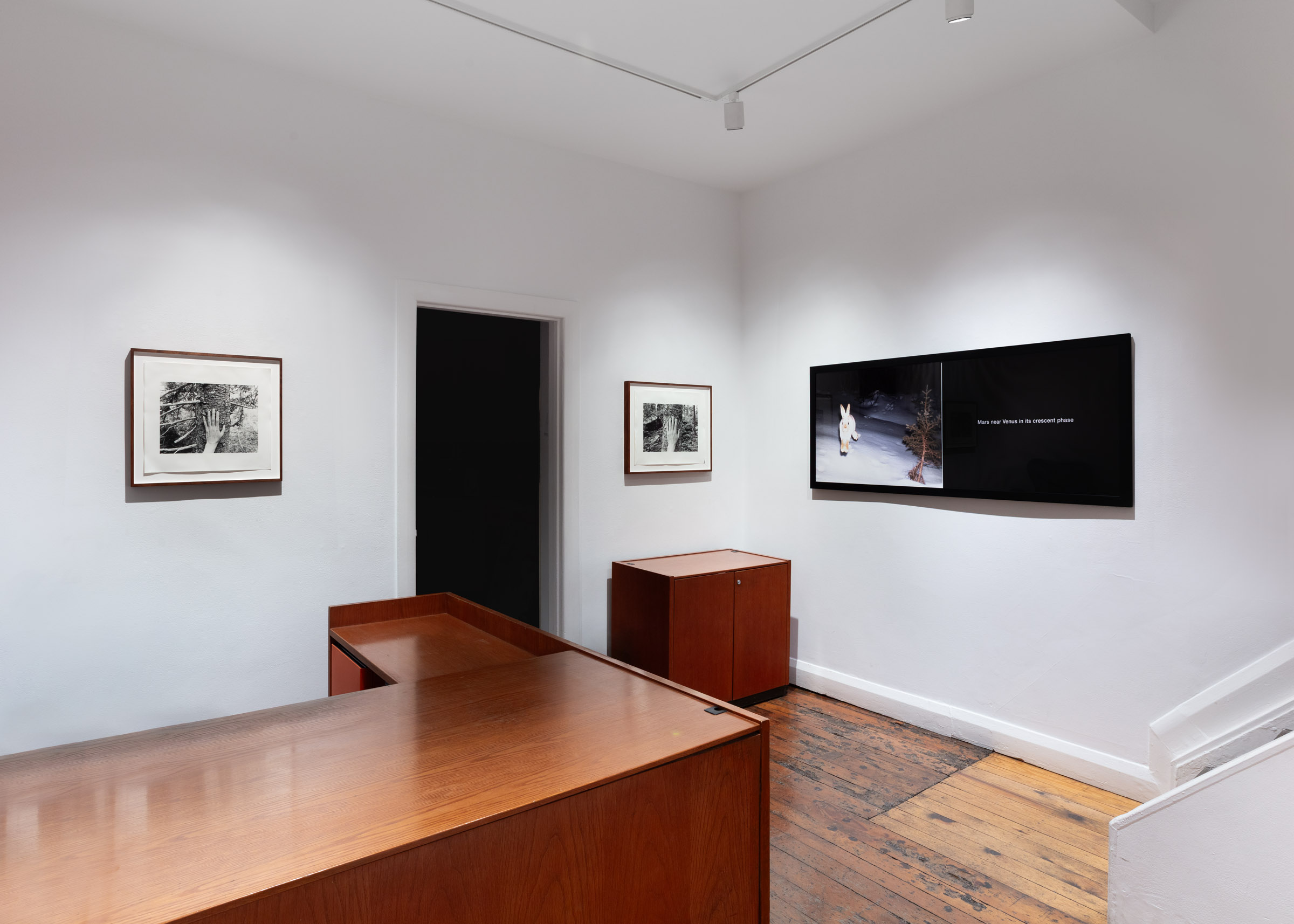 Selected Works from 24 Years in a Patch of Old-Growth Boreal Forest on Blast Hole Pond Road, Newfoundland 2002–2026