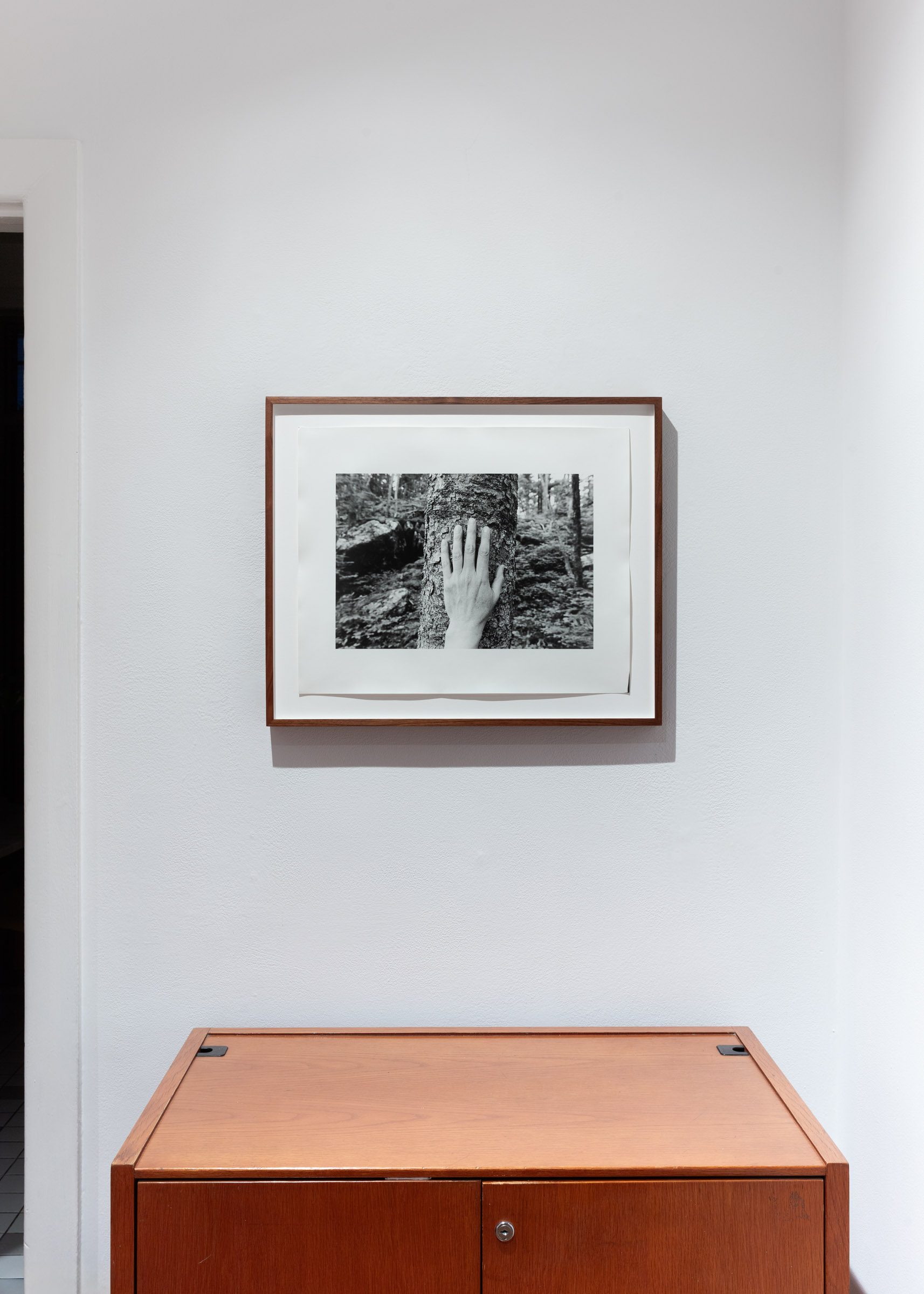 Selected Works from 24 Years in a Patch of Old-Growth Boreal Forest on Blast Hole Pond Road, Newfoundland 2002–2026