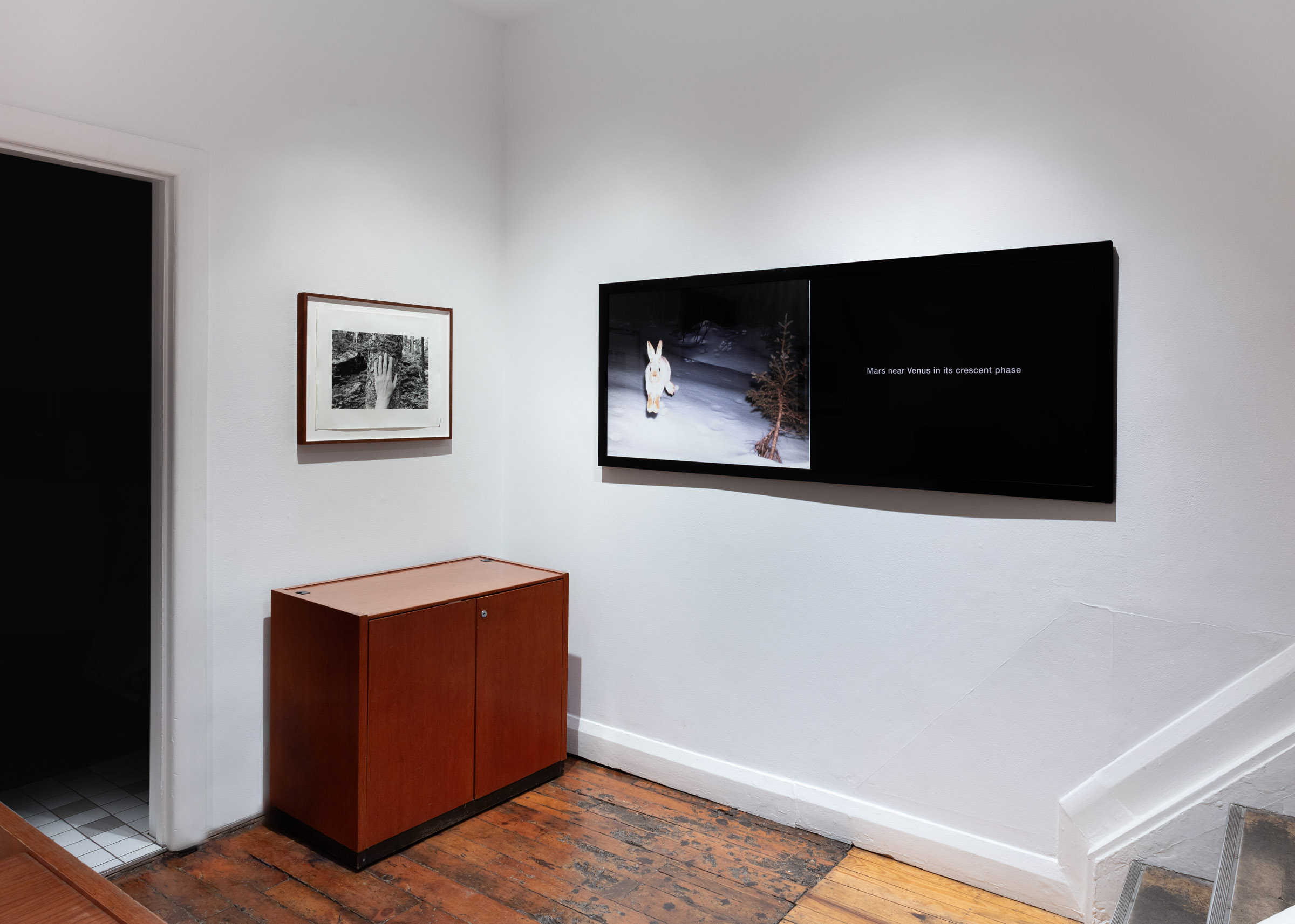 Selected Works from 24 Years in a Patch of Old-Growth Boreal Forest on Blast Hole Pond Road, Newfoundland 2002–2026