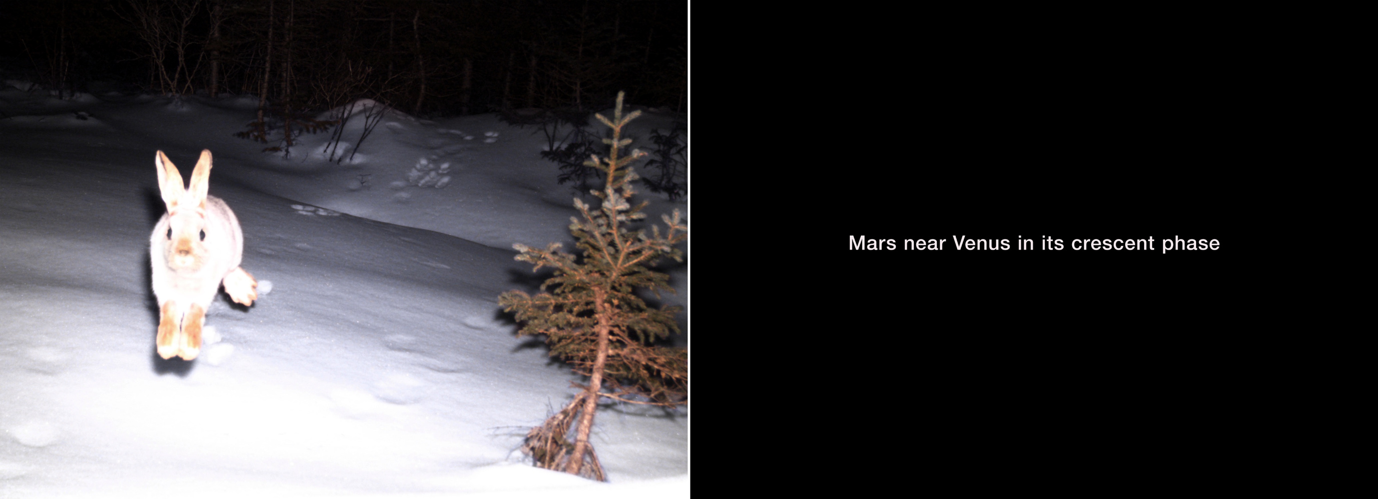 February 5, 2017 from the series What Came to Light at Blast Hole Pond River, Newfoundland 2015–ongoing