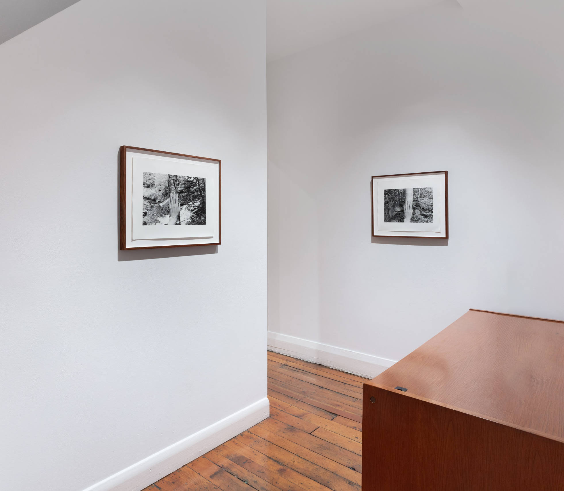 Selected Works from 24 Years in a Patch of Old-Growth Boreal Forest on Blast Hole Pond Road, Newfoundland 2002–2026