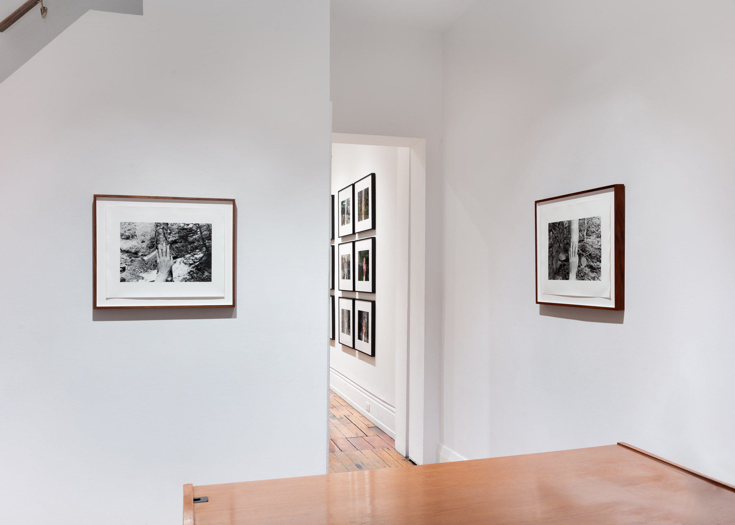 Selected Works from 24 Years in a Patch of Old-Growth Boreal Forest on Blast Hole Pond Road, Newfoundland 2002–2026