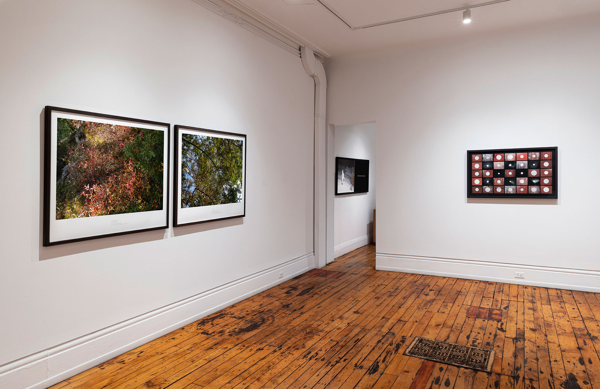 Between the Earth and the Firmament: Variations on a Theme, Newfoundland 2015–2022