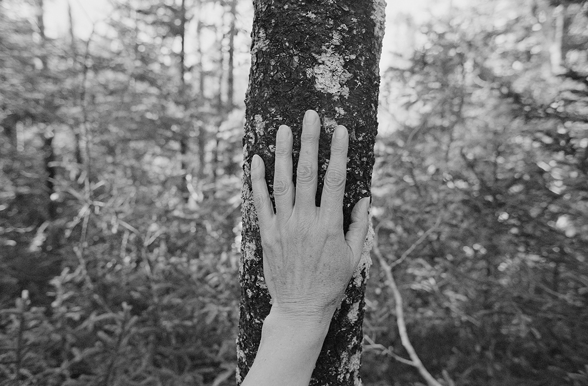 Larch, Spruce, Fir, Birch, Hand, Blast Hole Pond Road, Newfoundland 2007–ongoing