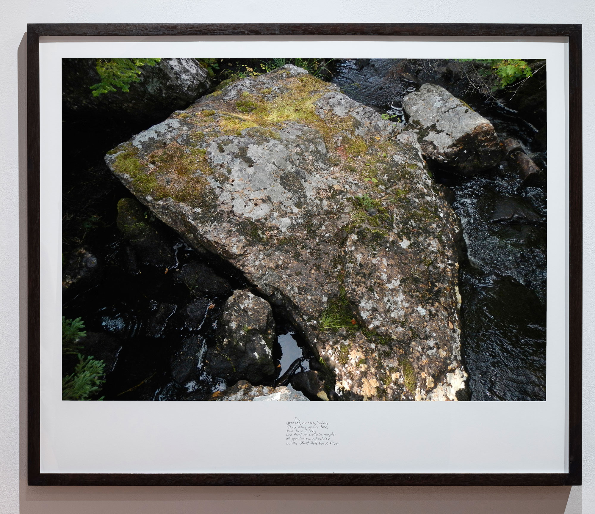 excerpt from On the Large Boulder in the Blast Hole Pond River, Summer 2020  from the series Between the Earth and the Firmament, Blast Hole Pond Road, Newfoundland 2020