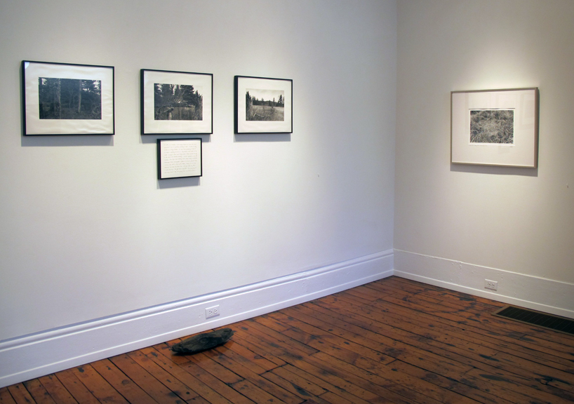 installation view