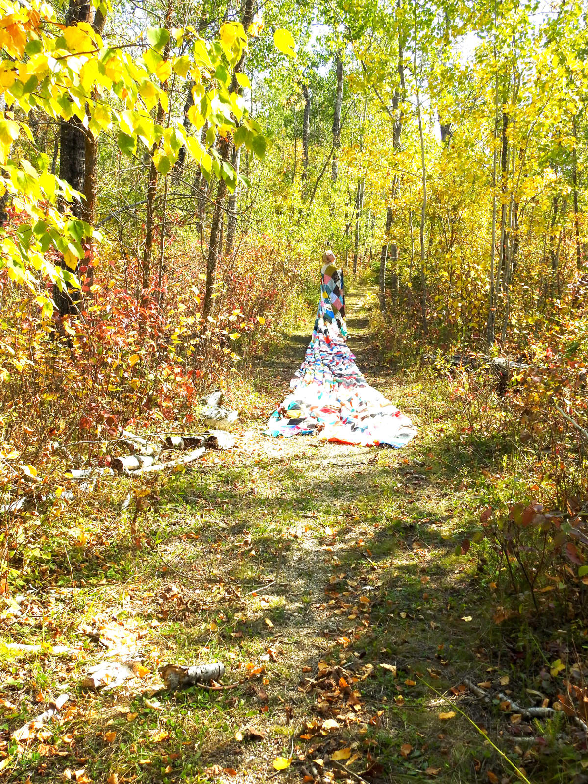 Autumn leaves
