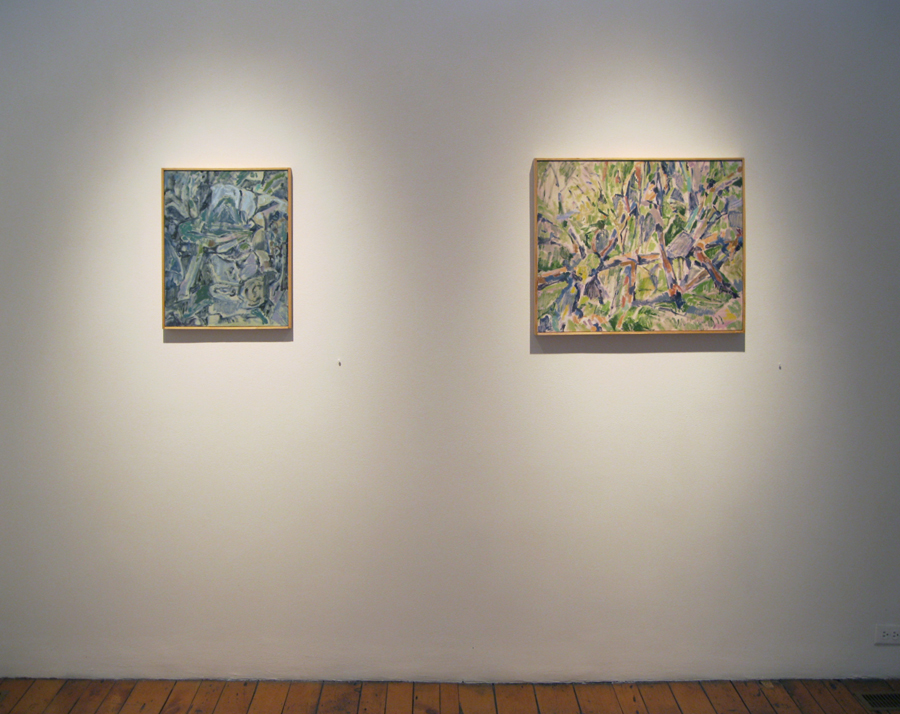 New World (installation view #3)