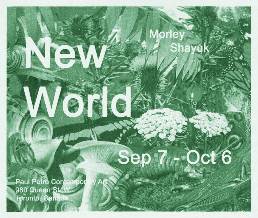 New World (invitation)