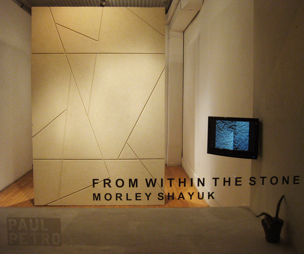 installation view