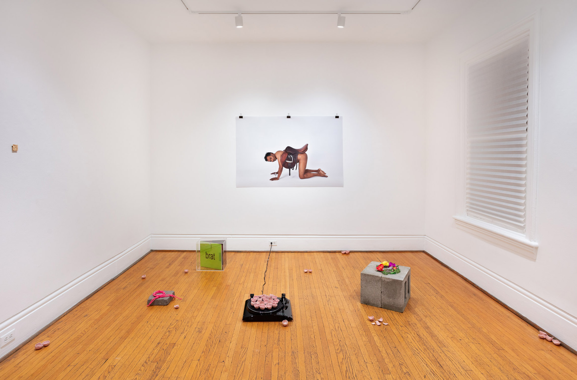 installation view