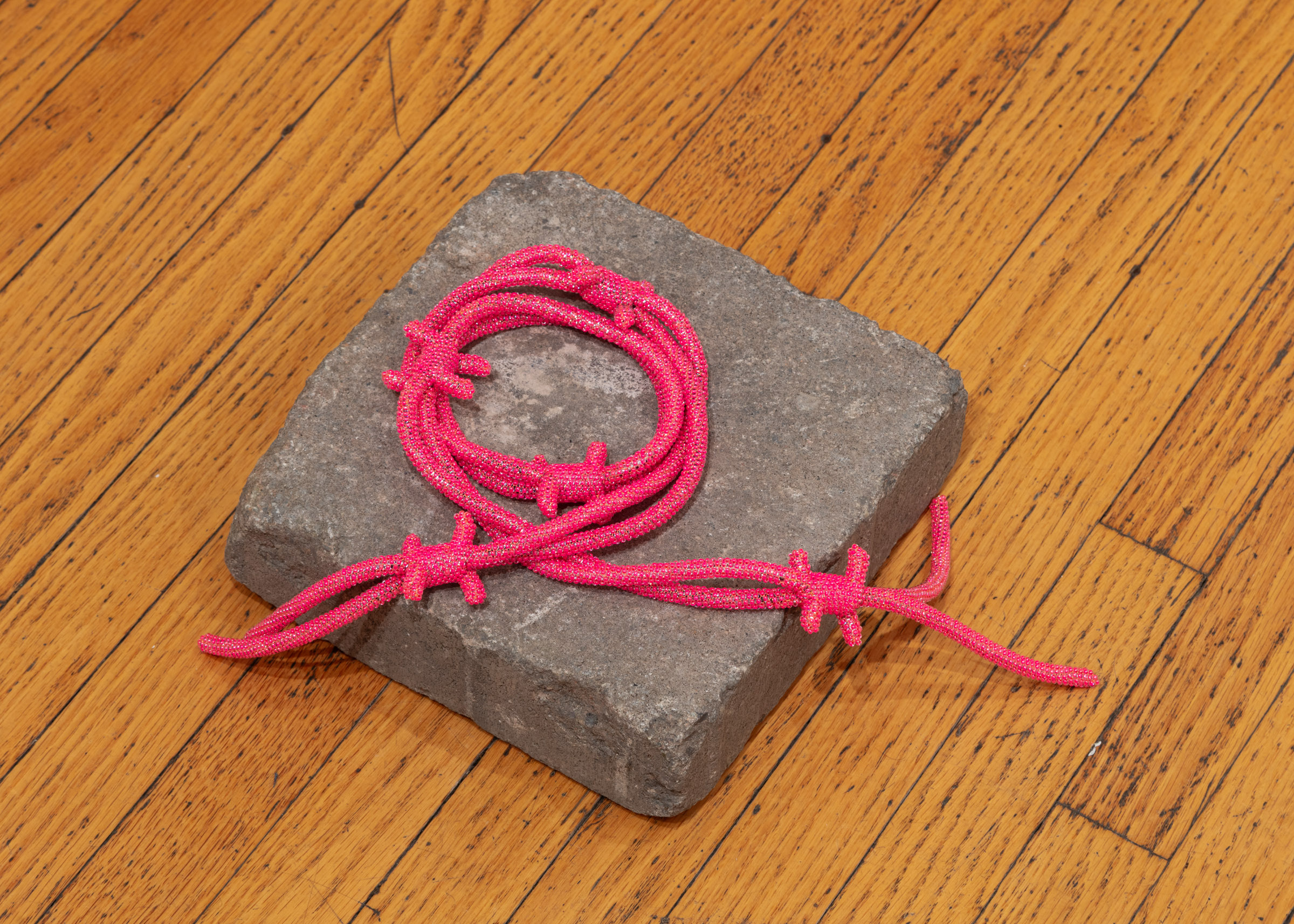 Bev Koski with Andil Gosine, 