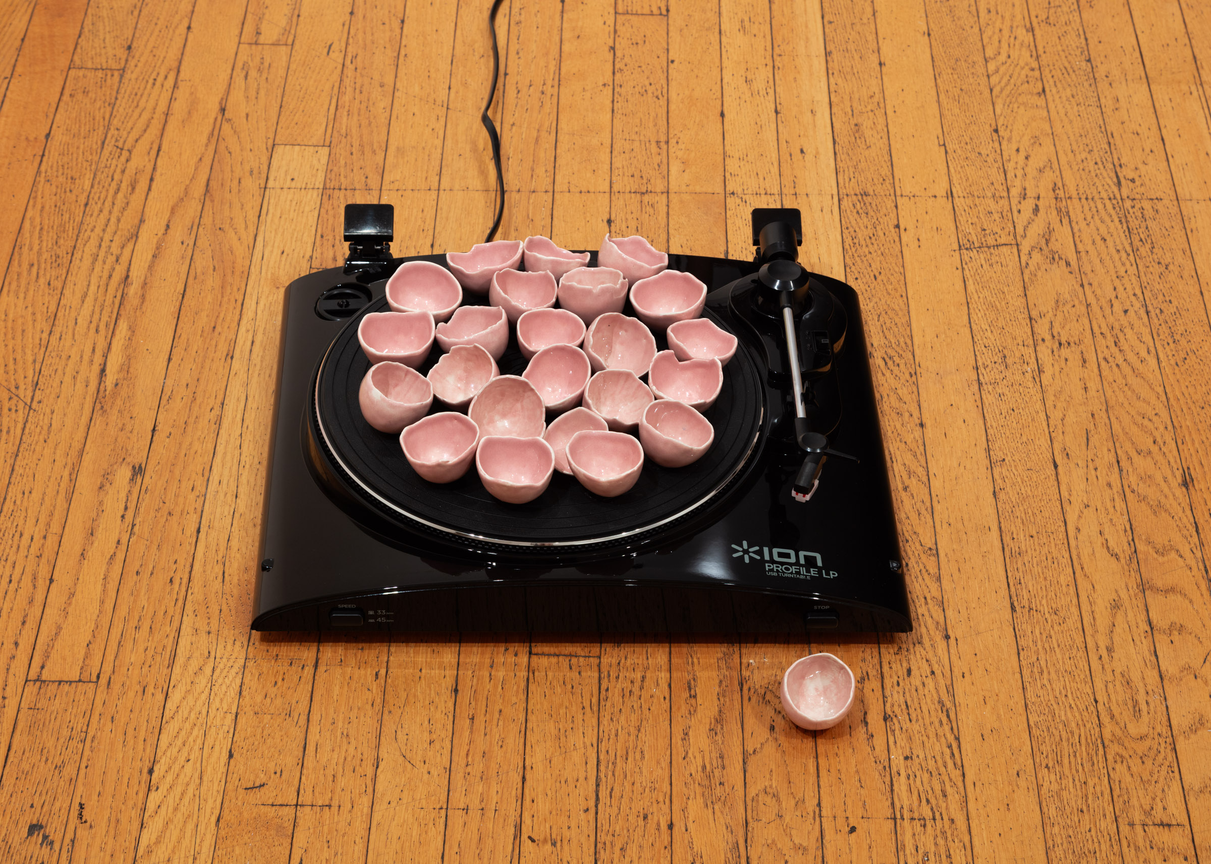 Romy Ceppetelli with Andil Gosine, 