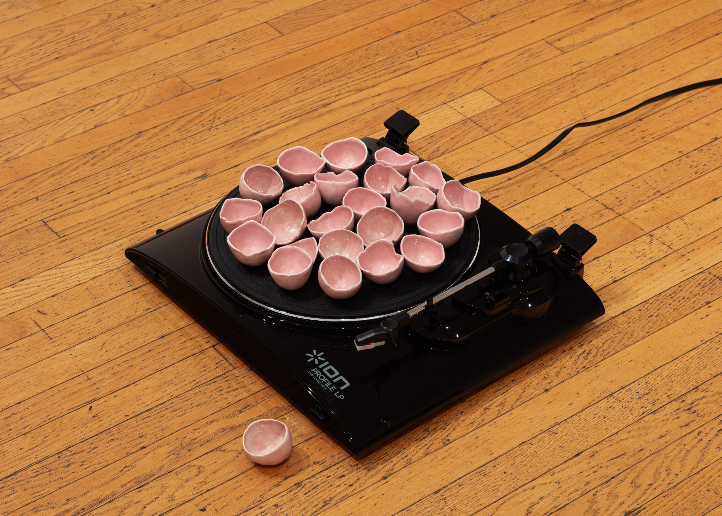 Romy Ceppetelli with Andil Gosine, 